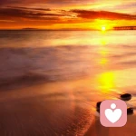 我只想丶平平淡淡的头像