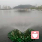 小雨咨询师的头像
