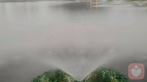 小雨心理专家,小雨心理咨询费用,小雨心理咨询效果怎么样