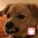 麻辣鱿宇徐的头像