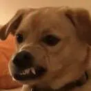 麻辣鱿宇徐