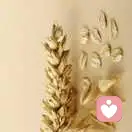 孤帆蓑影的头像