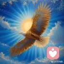 心宽～司辰的头像