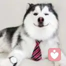 安安18854960161的头像