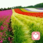 永敢的追梦者的头像