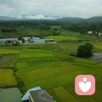 回忆仅有的一丝温柔〆的头像