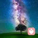 雅乐长安希有望的头像