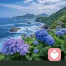 星河浅眠的头像