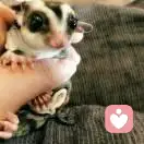 昨天晚上卖了个蛋的头像