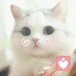 我一直在的头像