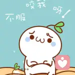 向来缘浅！奈何情深！的头像