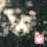 z老师说的不对的头像