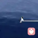 小吴的头像