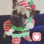 情圣大人.	的头像