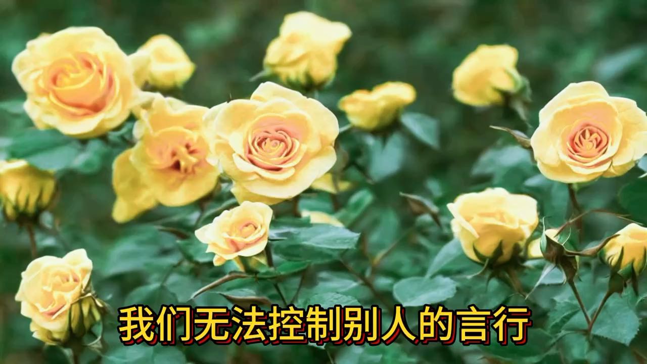 改變他人昏天暗地，改變自己風和日麗