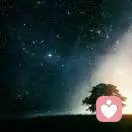 待卿长发及腰，嘞死我不好的头像