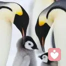 不一样的天空的头像