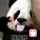 干掉熊猫我就是国宝的头像