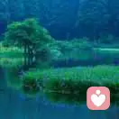 老虎今天改吃草的头像