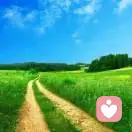 陌上花开的头像