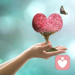 同舟共济的头像