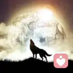 孤独的狼的头像