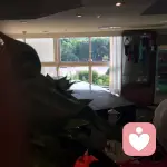 我最亲爱的的头像