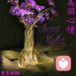 从头再来的头像