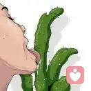 ʚ养楽多ɞ的头像