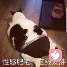高先生的头像