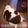 高先生