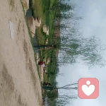 夏天的夏天的头像