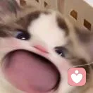 谜.的头像