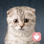 不要问我是谁的头像