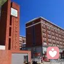 、其貌不扬的头像