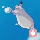 几多人知的头像