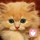 上官丽儿的头像