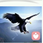 心理咨询师的头像