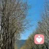 ……的头像