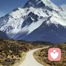 白衣未央的头像