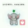 角落里的silly girl的头像