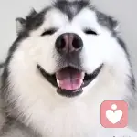 kate	百斯特国际英语的头像