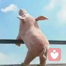 난	목자를	사랑한다的头像