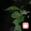 心会跟爱一起走的头像