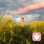 孔雀屁股的头像