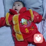 不悔梦归处，只恨太匆匆的头像