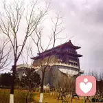 壹心老师的头像