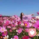 老秦有约的头像