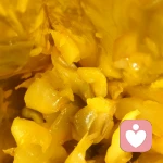 浣熊软糖的头像