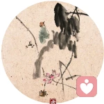 善解人衣的头像